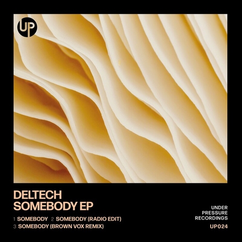 Deltech - Somebody [UP024]